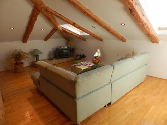 Apartments Radomir Fažana Zewnętrze zdjęcie