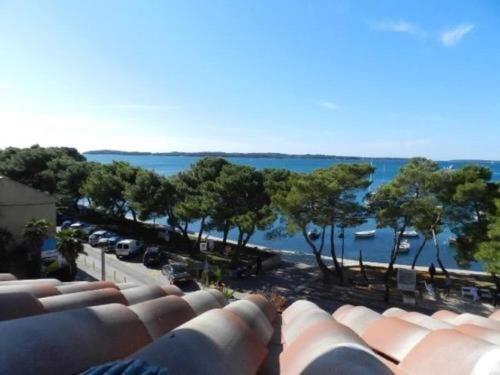 Apartments Radomir Fažana Zewnętrze zdjęcie